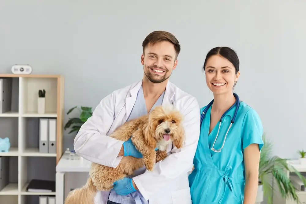 happy smiling vets with a puppy