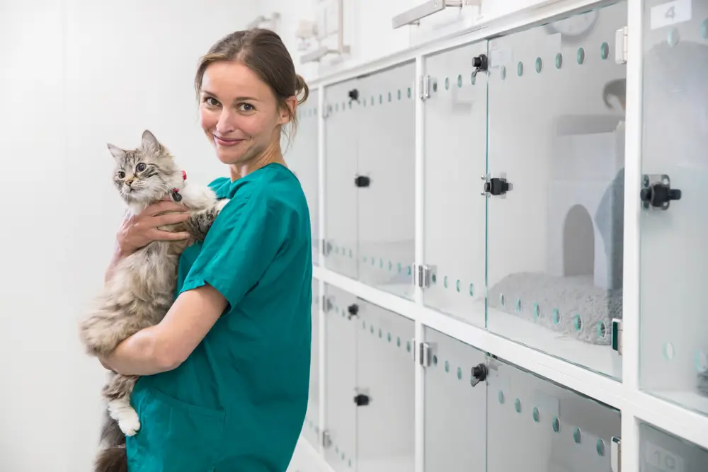 Nurse holding pet cat in recovery room