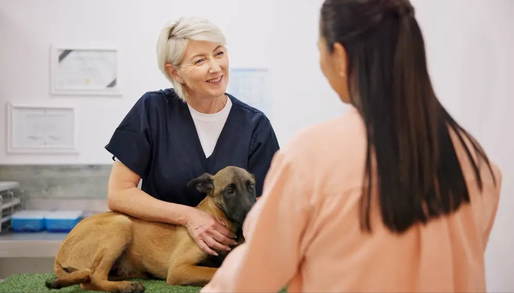 Vet nurse talking with a client