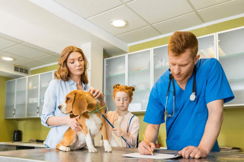 Family visiting an independent vet clinic for their beagle, reflecting the growing demand for a vet who will not treat you like an ATM.