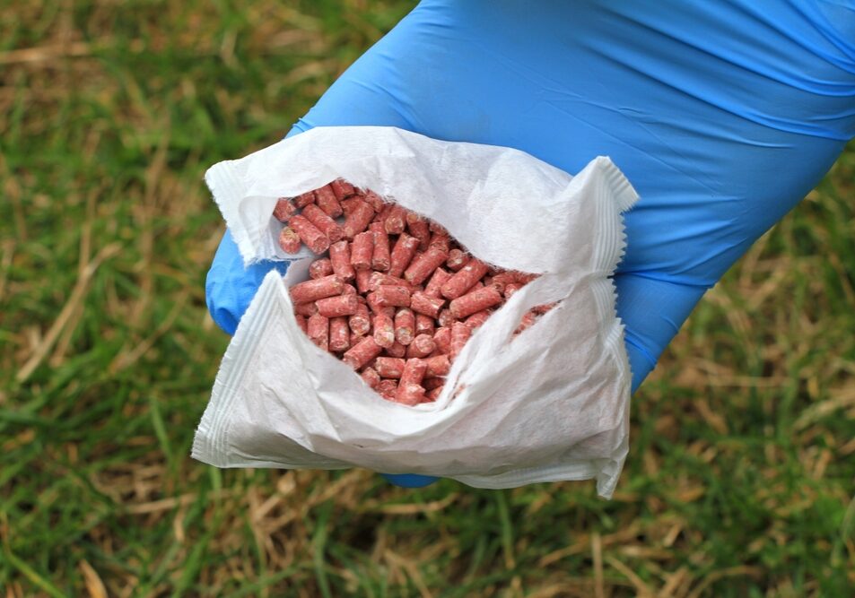 Opened paper packet of poisoned rat bait granules containing SGARs