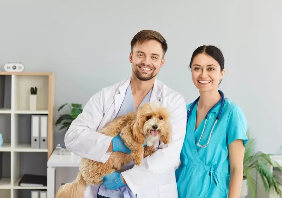happy smiling vets with a puppy